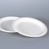 Assiette ronde fibres végétales biodégradable 18cm - bol écolo 350 mL - vaisselle jetable