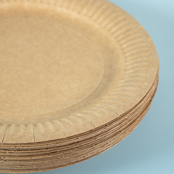 Fournisseur d'assiettes en carton en gros volume et pas chères