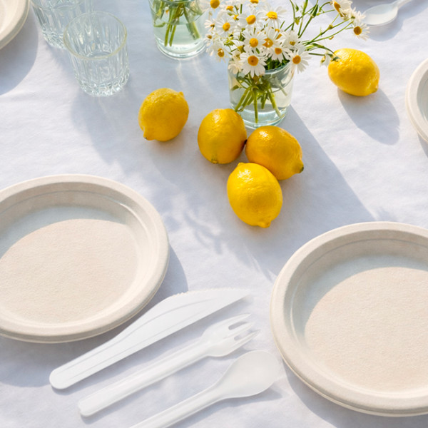 Table décoration été avec couvert en fibres végétales