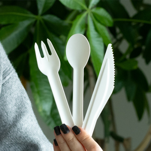 Cuillère en pulpe de canne à sucre