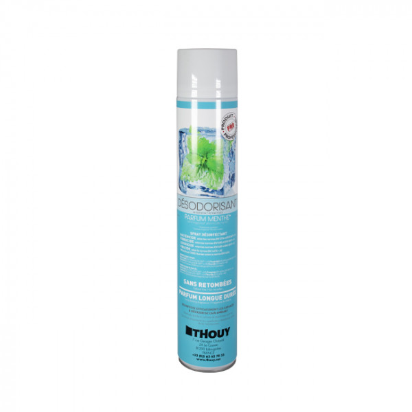 Aérosol assainisseur d'air Menthe 750 mL