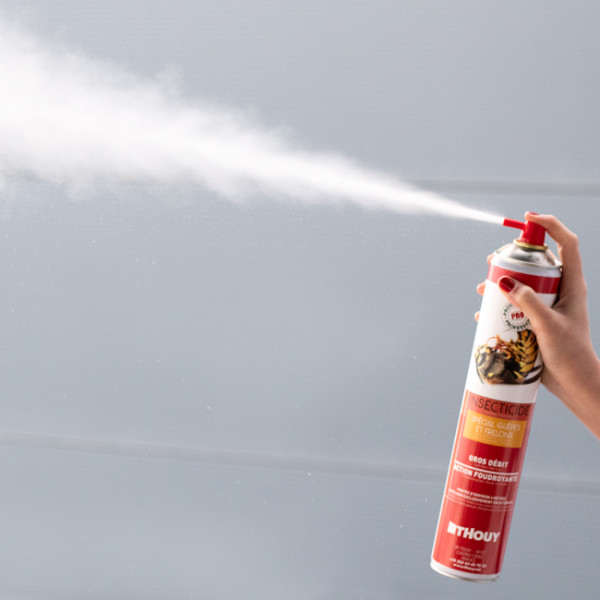 Insecticide aérosol polyvalent 750 mL.
