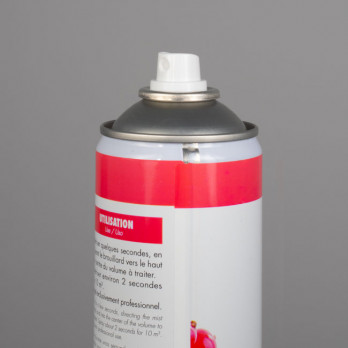 Aérosol désodorisant Fruits rouges 750 mL