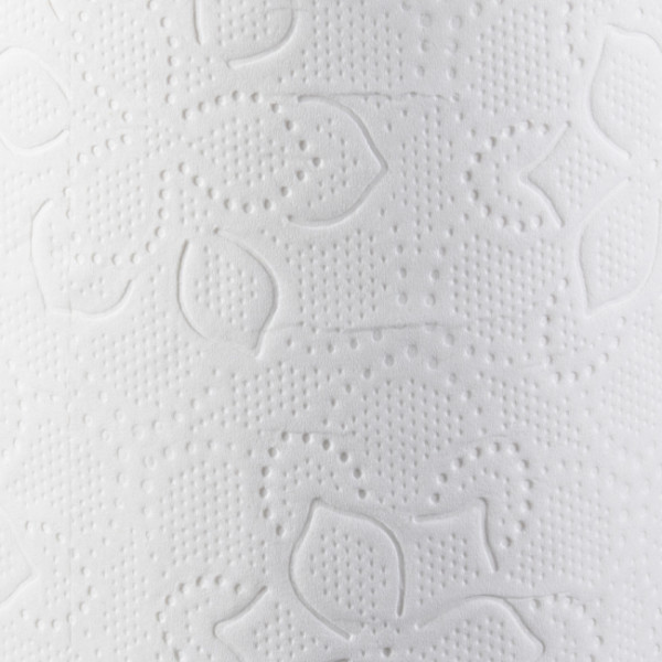 Papier toilette en rouleau ménager pour les professionnels