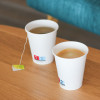 Gobelet carton blanc 8 Oz, gobelets en carton, 21-24 cl, blancs, 4 Oz.