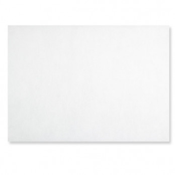 Set de table en spunbond blanc 30 x 40 cm