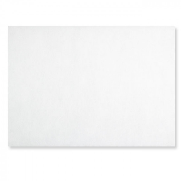 Set de table blanc en spunbond 30x40 cm