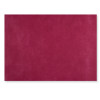 Sets de table bordeaux 30x40 cm en spunbond.