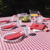 Nappe en papier à carreaux rouges et blanc vichy guinguette
