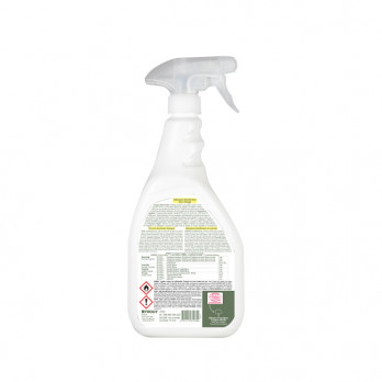 Spray détergent désinfectant sans rinçage Ecocert 750 mL - PAE