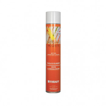 Aérosol nettoyant moquette et tapis 750 mL