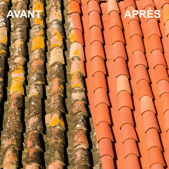 Traitement mousses et lichens sols toitures façades 5 L