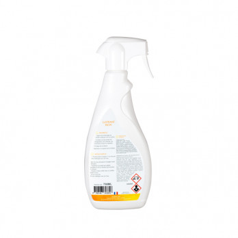 Spray lustrant inox 750 mL - PAE