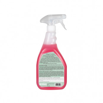 Spray détergent détartrant sanitaires Ecolabel 750 mL - PAE