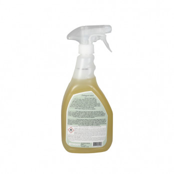 Spray nettoyant vitres Ecolabel 750 mL - PAE