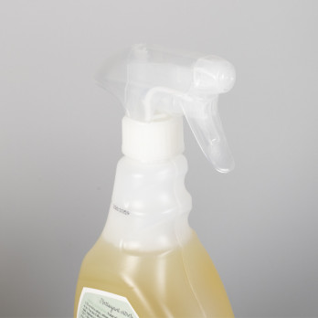 Spray nettoyant vitres Ecolabel 750 mL - PAE