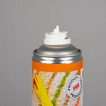 Aérosol nettoyant moquette et tapis 750 mL