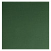 Serviette en papier molletonné vert sapin 40x40 - Double point