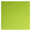 Serviette en papier molletonné vert anis 40x40 - Double point