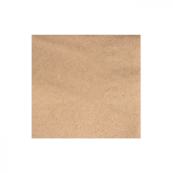 Serviette papier ouate kraft 2 plis 20x20 - Ouate