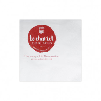Serviette personnalisée en papier ouate blanc 24 x 24 - 2 plis - Impression 1 à 2 couleurs