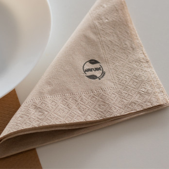 Serviette en papier ouate kraft 2 plis 40 x 40