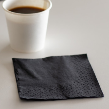Serviette en papier ouate noir 2 plis 20 x 20