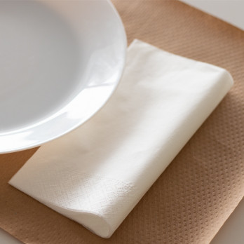 Serviette en papier ouate blanc 2 plis 40 x 40